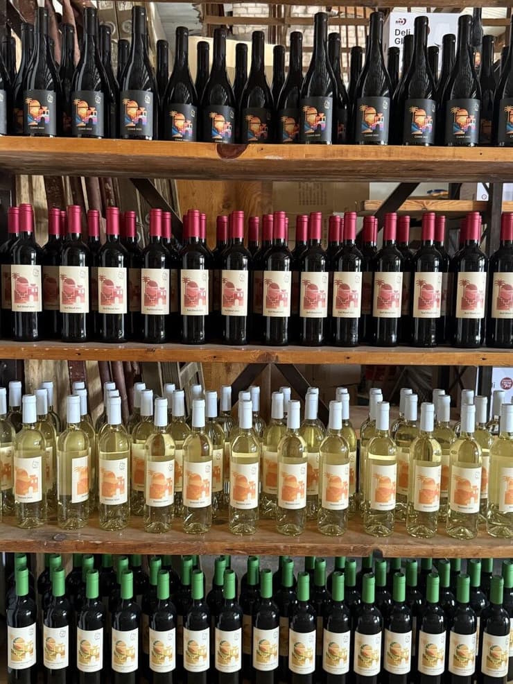 יקב יבניאל. משם הרעיון התגלגל (צילום: תיקי גולן) יקב יבניאל