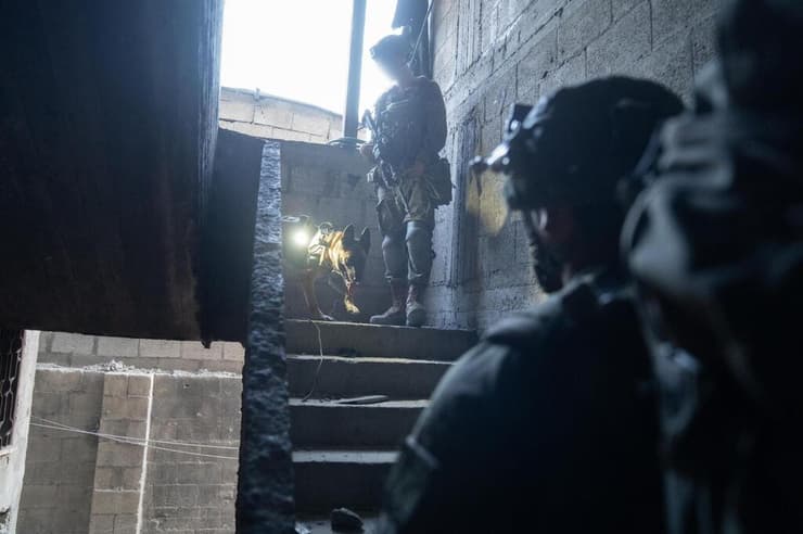 פעילות הכוחות ברצועת עזה