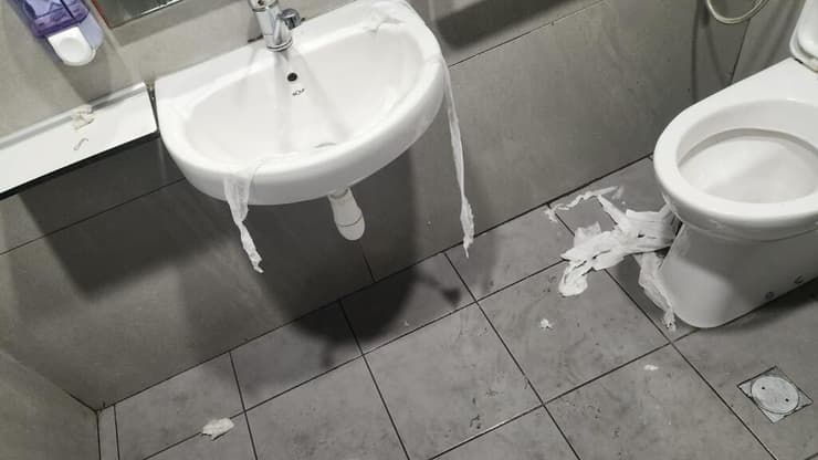 צילום: מריה קורנב גבע