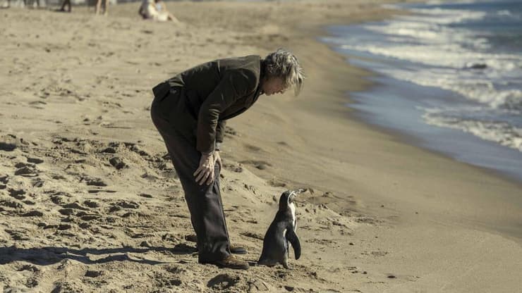 מתוך "שיעורים בפינגווינית" (צילום: באדיבות בתי קולנוע לב) מתוך "שיעורים בפינגווינית"