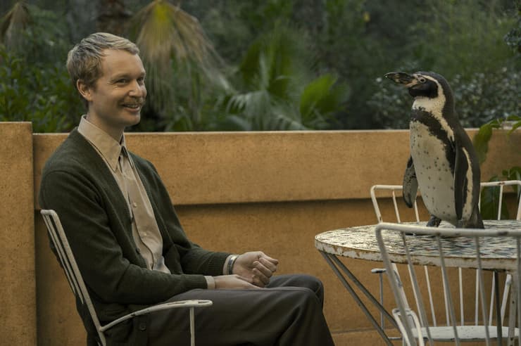 מתוך "שיעורים בפינגווינית" (צילום: באדיבות בתי קולנוע לב) מתוך "שיעורים בפינגווינית"