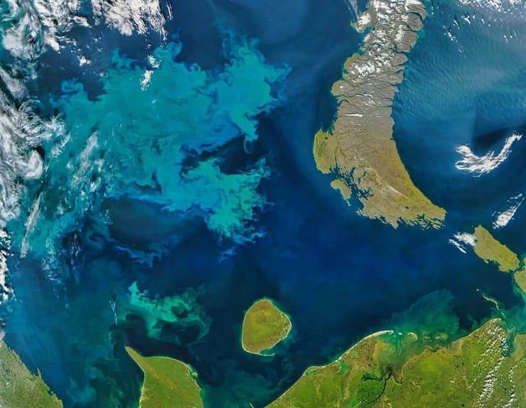 פריחת פיטופלנקטון בים ברנץ, שמהווה חלק מאוקיינוס הקרח הצפוני המצוי צפונית לנורבגיה ולרוסיה (צילום: BEST-BACKGROUNDS/Shutterstock) פריחת פיטופלנקטון בים ברנץ, שמהווה חלק מאוקיינוס הקרח הצפוני המצוי צפונית לנורבגיה ולרוסיה