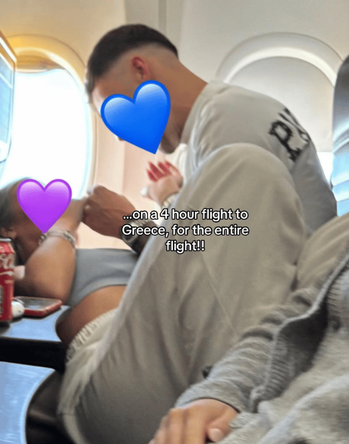 טיסת המזמוזים