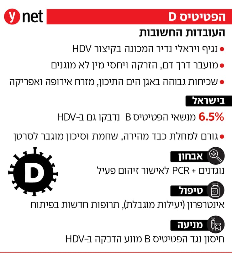 אינפו הפטיטיס D אינפו הפטיטיס D