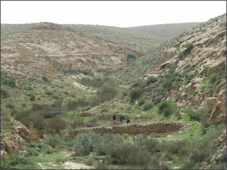 מערכת חקלאית בקרבת שבטה