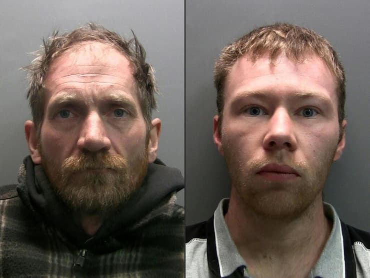 בריטניה אנגליה כריתת עץ הסיקאמור הסיקמור משמאל דניאל גרהאם מימין אדם קרות'רס