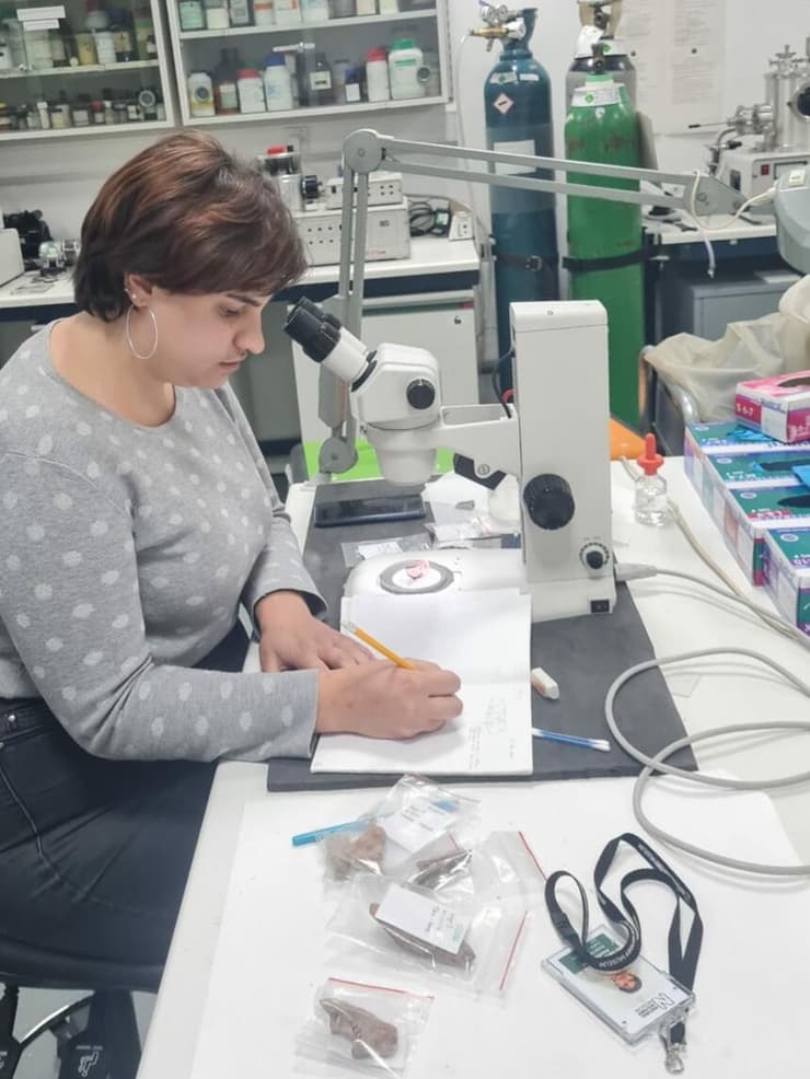 אנאל ז'אלון בוחנת את סימני החיתוך על העצמות שהתגלו במערות בישראל (צילום: לוסיל קרט) אנאל ז'אלון בוחנת את סימני החיתוך על העצמות שהתגלו במערות בישראל