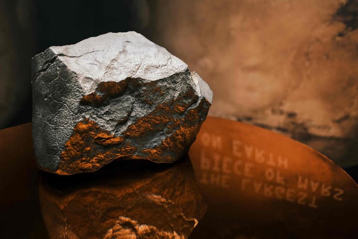 הסלע ששוקל כ-25 ק"ג בכדור הארץ