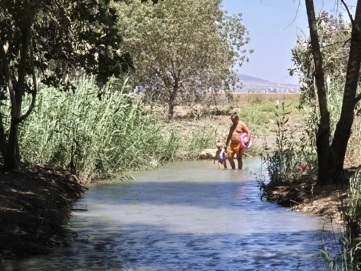 מעין עין עדעד