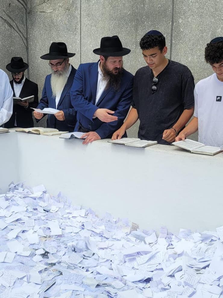 עידן אלכסנדר בקבר הרבי מלובביץ'
