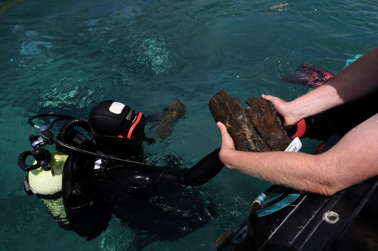 חתיכת עץ מכלונסאות בתים עתיקים, שהתגלתה באגם אוחריד שבאלבניה