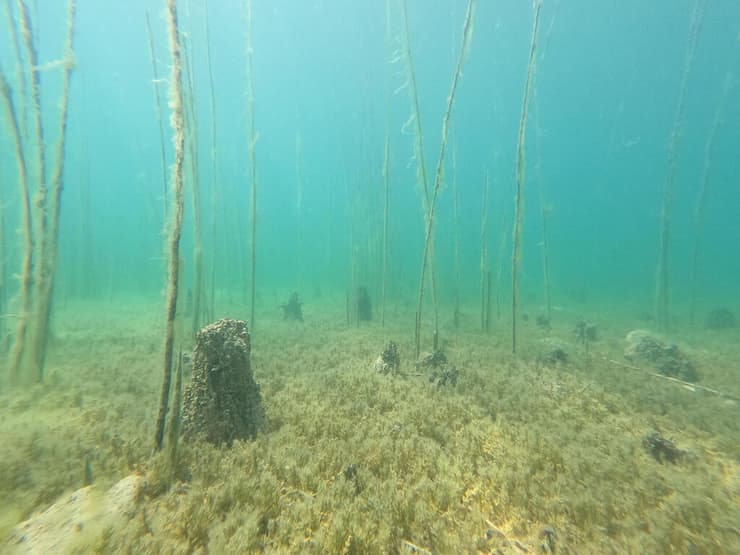 ממצאים עתיקים בעומק אגם אוחריד באלבניה