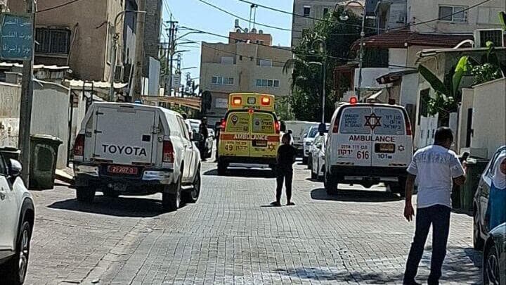 הזירה בג'לג'וליה בה נהרג כלב משטרתי