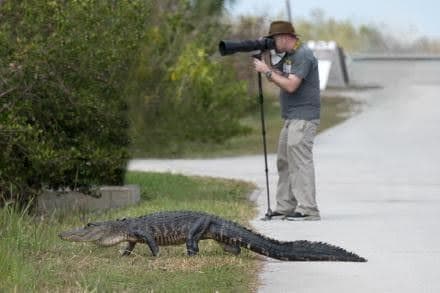 גיא וילסון וחבר במהלך צילומי טבע