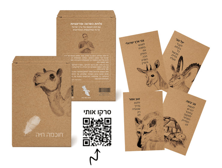 ערכת גלויות ההשראה "חוכמה חיה" (צילום: משה דיפרין) ערכת גלויות ההשראה "חוכמה חיה"