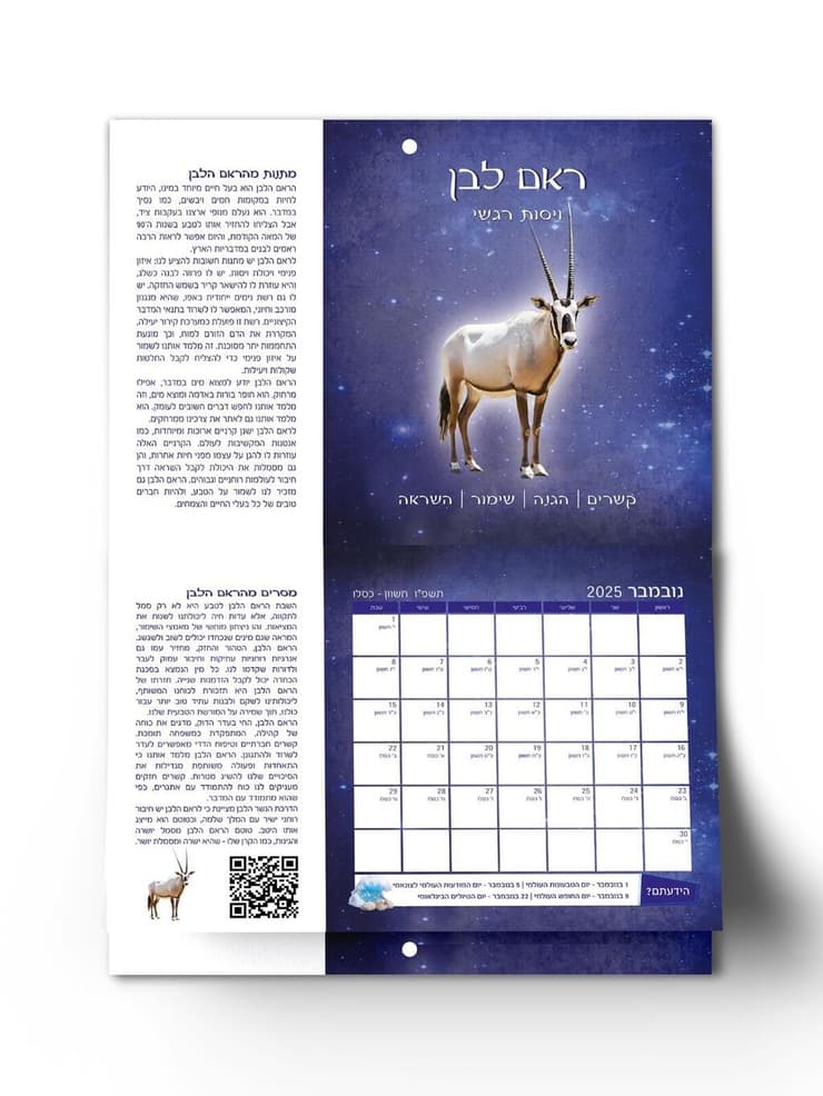 לוח השנה שעוצב ברוח 12 מחיות הבר של ישראל (צילום: אסתר אלקיים) לוח השנה שעוצב ברוח 12 מחיות הבר של ישראל