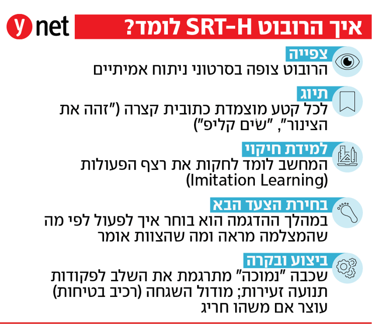 אינפו אינפו