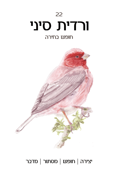 ורדית סיני, מתוך "טוטם הציפורים של ארץ ישראל" (איור: מיה הילה בלו) ורדית סיני, מתוך "טוטם הציפורים של ארץ ישראל"