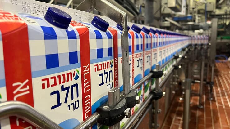 קרטוני חלב של תנובה במפעל ברחובות (צילום: אסי חיים) קרטוני חלב של תנובה במפעל ברחובות