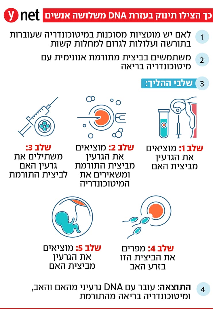 אינפו כך הצילו תינוק, DNA