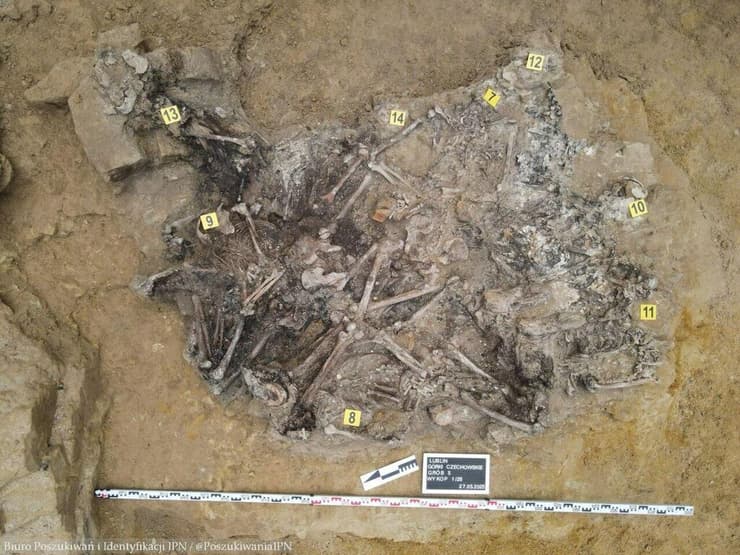 שרידי גופות שנמצאו בלובלין (צילום: IPN) שרידי גופות שנמצאו בלובלין