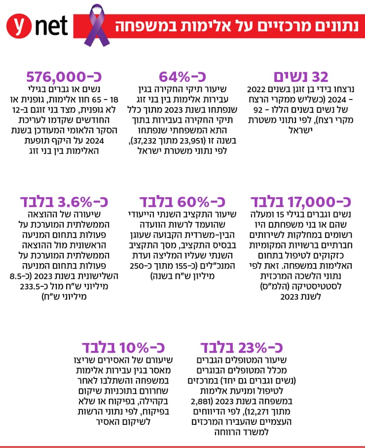 נתונים מרכזיים על אלימות במשפחה מחודש יולי 2025 אינפו אינפוגרפיקה נתונים מרכזיים על אלימות במשפחה