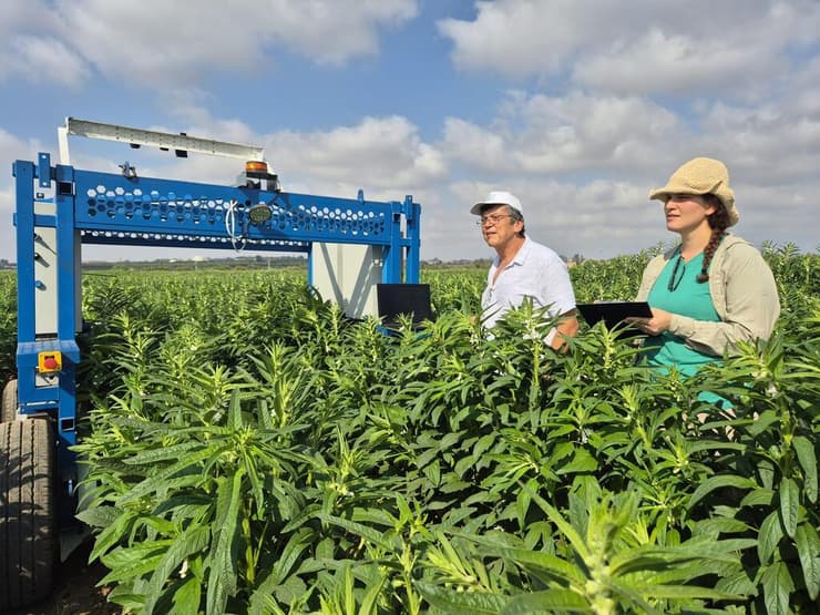הרובוט בפעולה בשדה