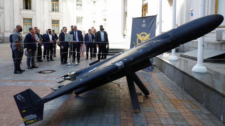  שר החוץ גדעון סער עם שר החוץ האוקראיני אנדרי סיביהה, בקייב