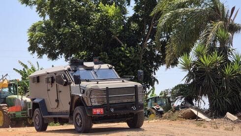 צילום: עידו ארז