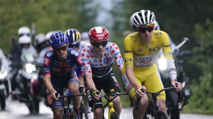 טאדיי פוגצ'אר