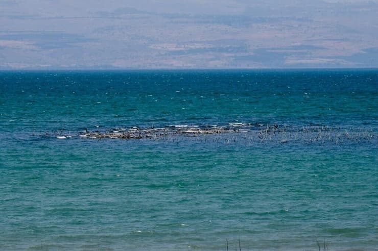 האי חזר אחרי כמה שנים
