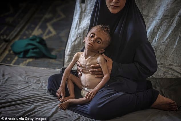 מוחמד זכריה איוב אל-מעתוק