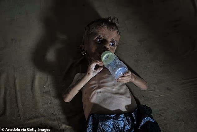 מוחמד זכריה איוב אל-מעתוק