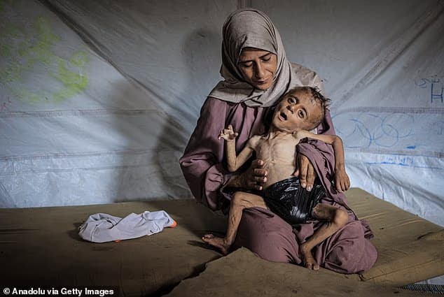 מוחמד זכריה איוב אל-מעתוק