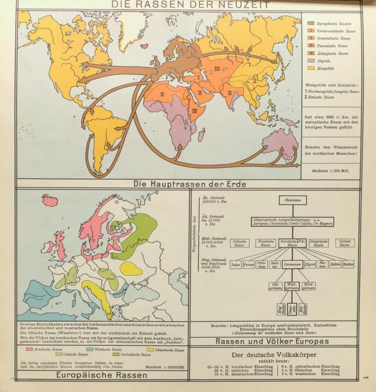 תרשים שמציג את נדידת "הגזעים", מתוך האטלס Werden und Wachsen משנת 1938