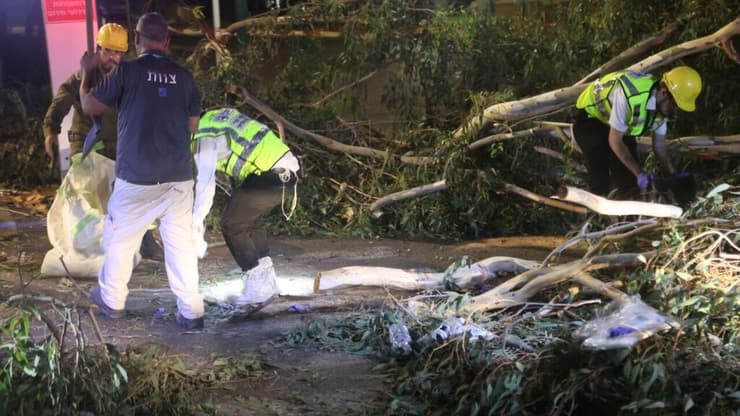 הזירה באסף הרופא, גבר נהרג מקריסת עץ