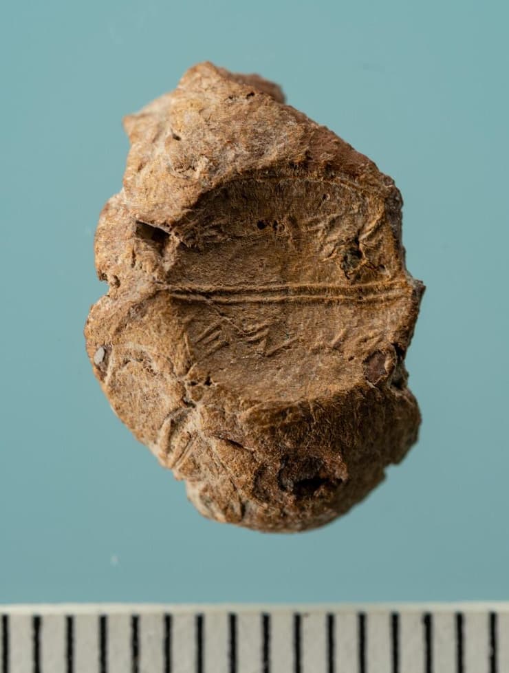 הבולה העתיקה