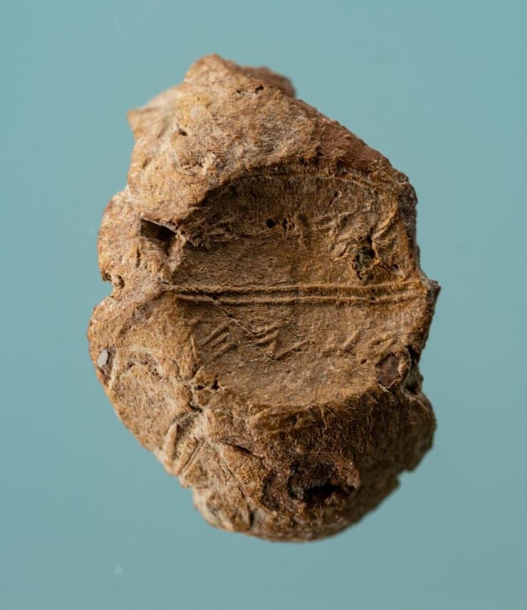 הבולה העתיקה