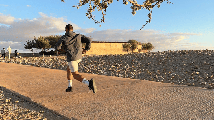 דניאל שליבו