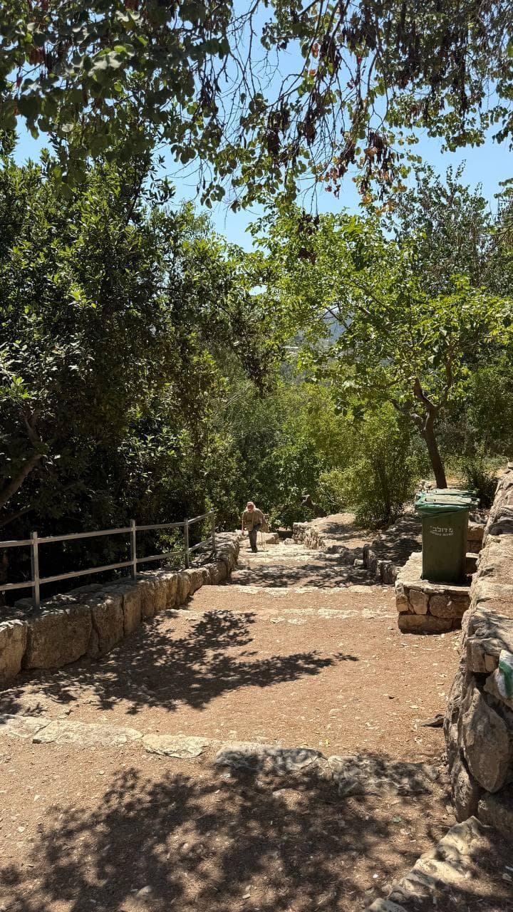 הסטף מתעורר לחיים