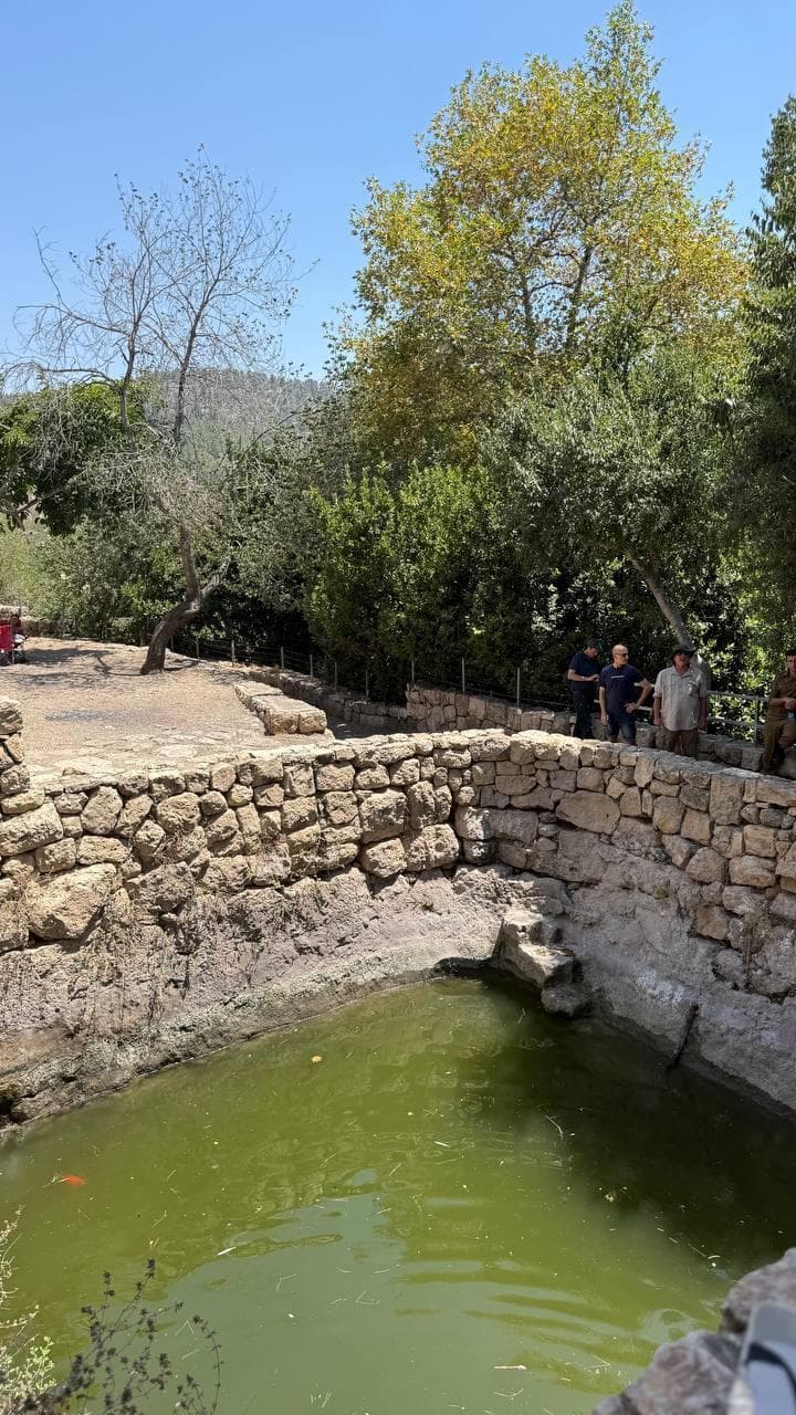 הסטף מתעורר לחיים