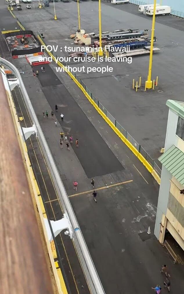 חשש צונאמי גולשת טיקטוק תיירת בריטית הוואי ספינת תענוגות הספינה עזבה בלי הנוסעים