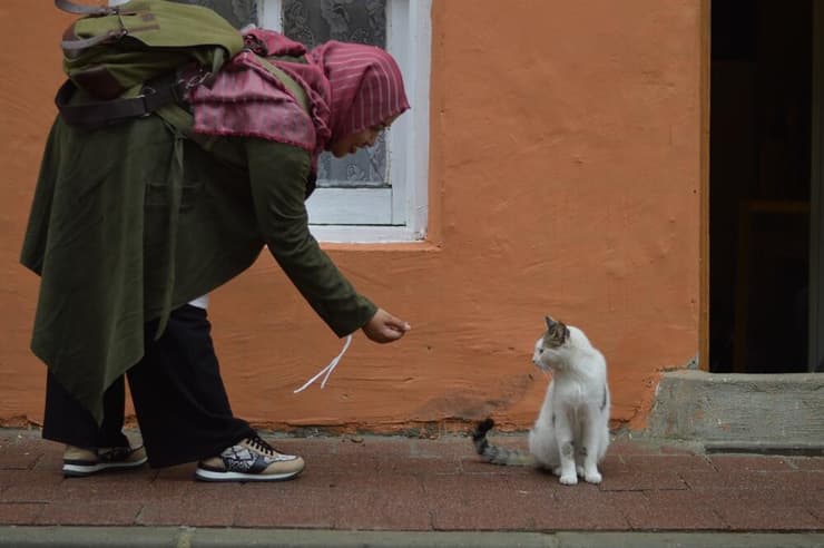 אשה מוסלמית מביעה את חיבתה כלפי חתול באיסטנבול