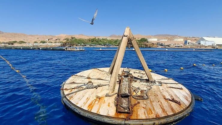 המצוף שבו בחרו השחפיות לקנן