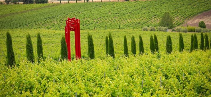 יקב Ktima Gerovassiliou, קסנדרה