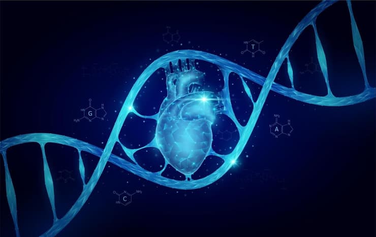 חיבור בין לב ל-DNA – התקדמות באבחון גנטי של מחלות לב (צילום: Shutterstock) DNA