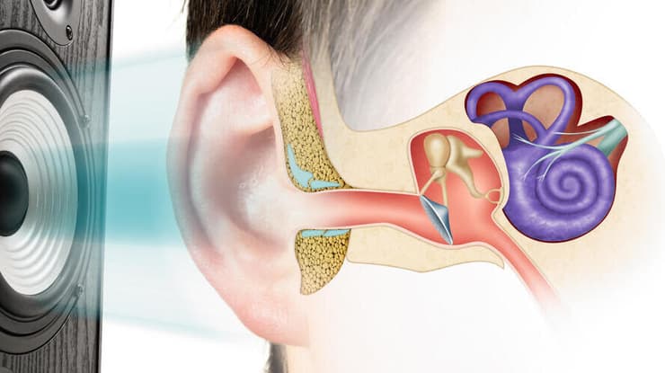 ירידת שמיעה מעלה את הסיכון לדמנציה באופן מובהק, במיוחד ככל שהירידה קשה יותר (צילום: Shutterstock) פגיעה בשמיעה