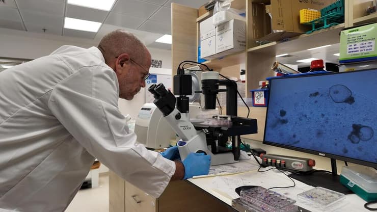 פרופ' בנימין דקל, נפרולוג מבית החולים שיבא, גידל רקמת כליה מתאי גזע