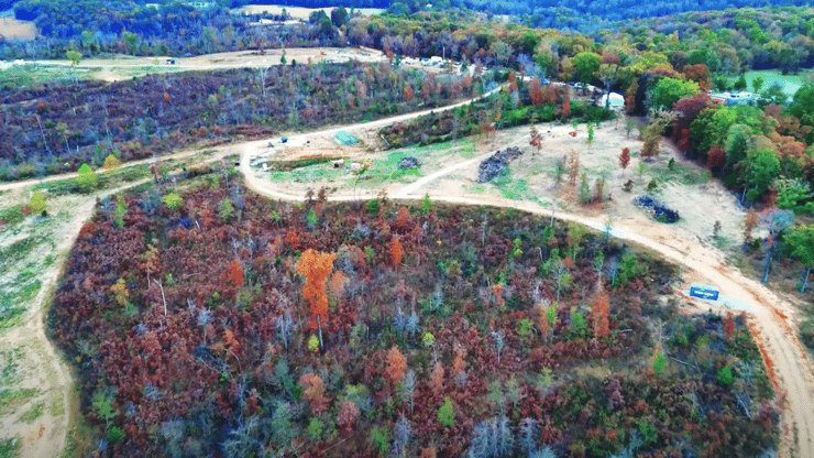 עוברים את מבחני הקבלה - והמניות הופכות לשטחי אדמה. "בחזרה לאדמה" בחזרה לאדמה עיירה יישוב לבן לבנים בלבד רק ארקנסו ארה"ב ארהב ארצות הברית דרום אריק ארוול פיטר סרי אנטישמיות אוזרק אוזרקס