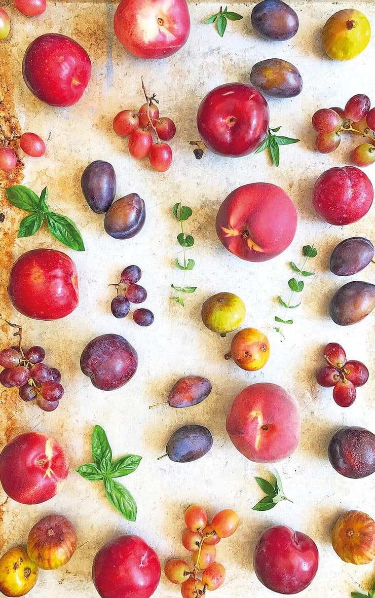 צילום: שאטרסטוק yk14464011